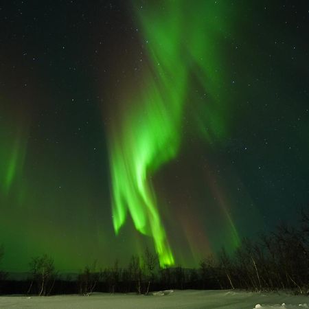 Northern Light Huts - Paradise Lapland Kiruna Luaran gambar