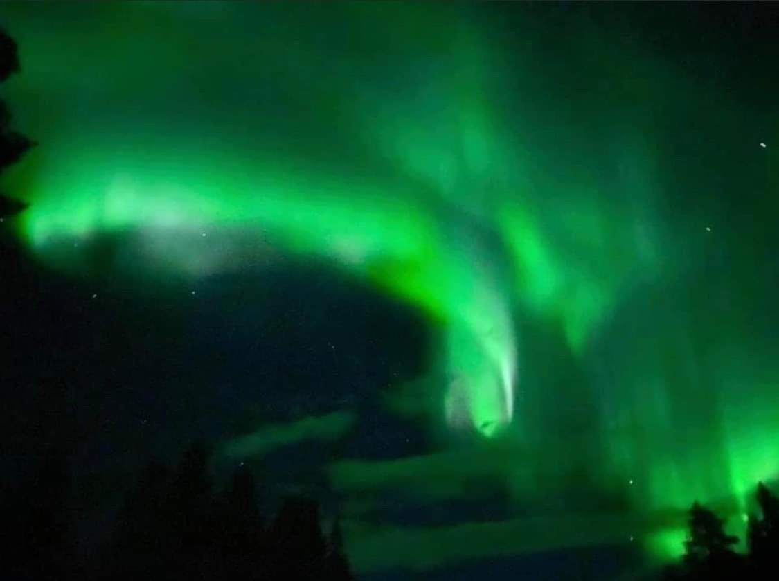 Northern Light Camp Kiruna Luaran gambar