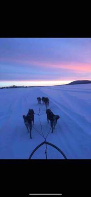 Northern Light Camp Kiruna Luaran gambar